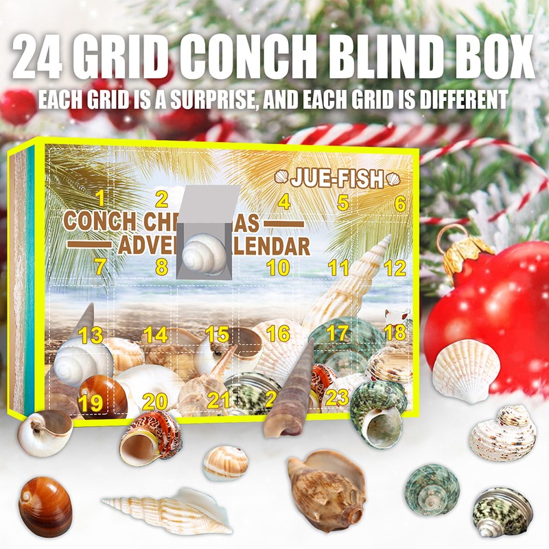 Christmas Countdown Advent Calendar 24 Pcs Shell Toys 2022 Conch
