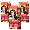 Elastine Salon de Color & Gray Hair Dyeing Cream, Orange Brown, 3 pieces / 엘라스틴 살롱 드 컬러 앤 새치 염색 크림, 오렌지브라운, 3개