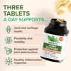 Zenwise Health Joint Support Supplement with Glucosamine Chondroitin MSM, Curcumin