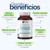 Pack Magnesio Ultra Citrato Potasio Nutrientes Vidalabs México Función Muscular