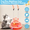 LALAKATS Cat Toys Interactive Cat Toys for Indoor Cats Kitten