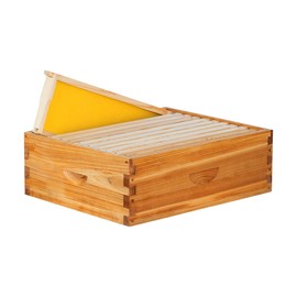 beeknows 10 Frame Medium Super Beehive Box Wax Coated Bee Hives Includes Beehive Frames and Waxed Foundations (Unassembled)