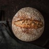 Freshly Fermented - Certified Organic Fresh Sourdough Starter, Alaskan