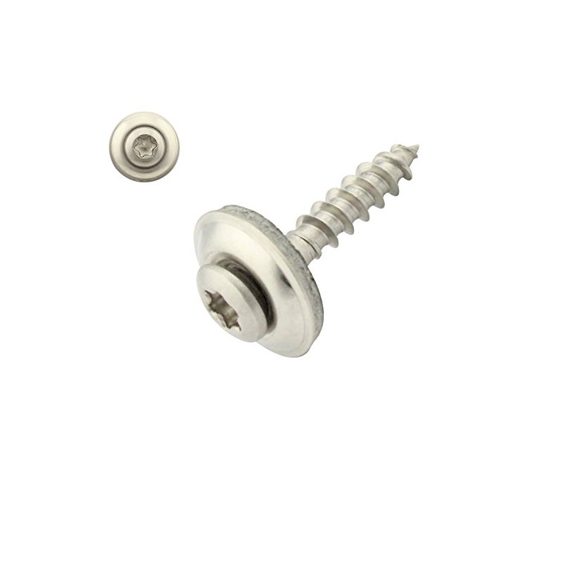Pack of 100 Spengler Screws with EPDM Sealing Washer -