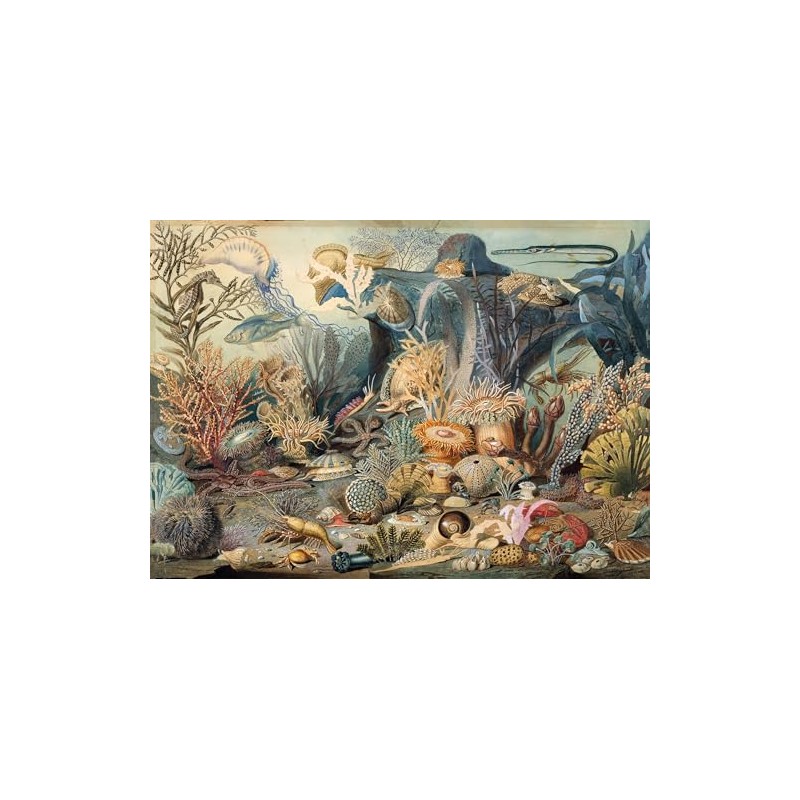 Ocean Life 1000 Piece Jigsaw Puzzle