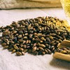 Premium Roasted Barley Tea Bags - Caffeine-Free, Sugar-Free | Nutty