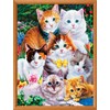 MasterPieces 300 Piece EZ Grip Jigsaw Puzzle - Purrfectly Adorable