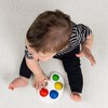 BABY EINSTEIN Color Pop Palette Sensory Toy for Ages 6