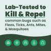 Cedarcide Original Bug Spray | Repel & Kill Fleas, Ticks,