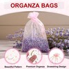 MECCANIXITY Organza Bag 3.5" x 5", Sheer Moon Star Mesh