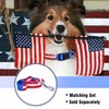 Native Pup American Flag Dog Leash (American Flag)