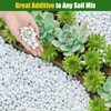 Doter Organic Chunky Perlite for Plants (0.4"-0.8" in Diameter), Natural