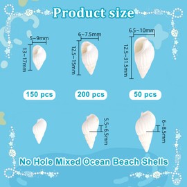 AHANDMAKER 450pcs 3 Styles Ocean Beach Shells Spiral Shell Fish Tank Beach Microscape Ornaments for DIY Craft Jewelry Making Accessories Vase Fillers Ocean Themed Party Wedding Home Decor