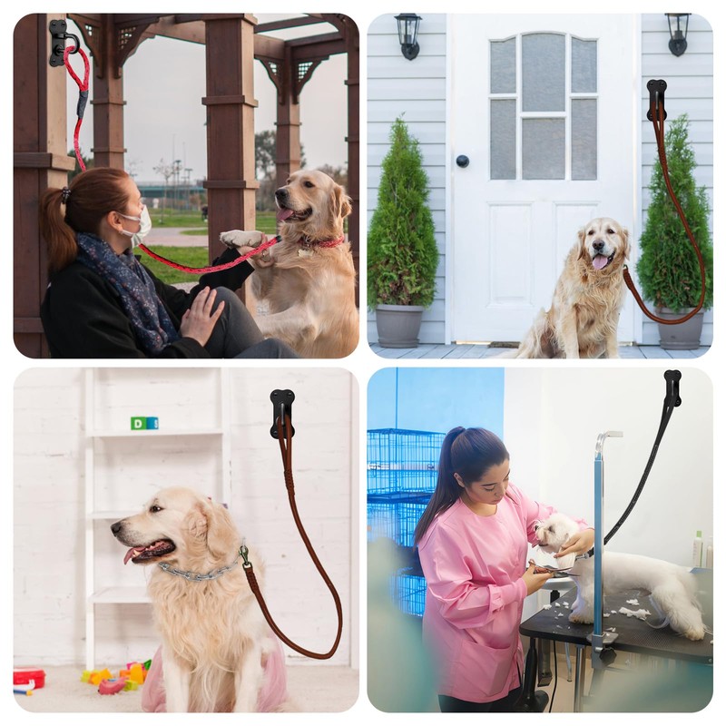 BeneLabel Wall Mounted Dog Leash Holder for Wall Pet Leash
