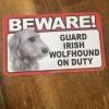 SCANDICAL BEWARE GUARD IRISH WOLFHOUND ON DUTY 5" X 8"