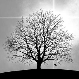 Ambiente Napkins Lunch - Mourning Tree - Mourning Tree - Mourning Napkins 33 x 33 cm Pack of 20