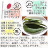 Healthy Company Domestic Loquat Leaf Tea, 0.1 oz (3 g)