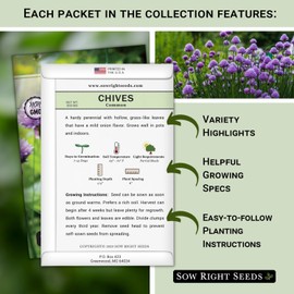Sow Right Seeds - Large Herb Garden Seed Collection for Planting - Basil, Chives, Parsley, Lavender, Oregano, Dill, Lemon Balm, Chamomile & Thyme - Non GMO Heirloom - Plant Outdoors or Indoors