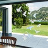 11 Pegatinas Anticolisión para Ventanas, Protección contra Pájaros, Decoración de