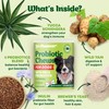 Dog Probiotic Chews Gut Health & Digestive Function Support Anti