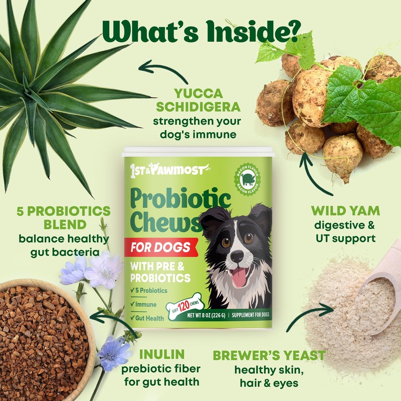Dog Probiotic Chews Gut Health & Digestive Function Support Anti