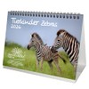 Tierkinder Zebras DIN A5 Desk Calendar for 2026 Zebra -