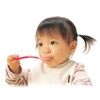 Richell Lunch Baby Food Spoon Set with case