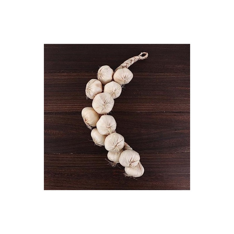 Leadigol Artificial Garlic String - Fake Vegetables Photography Props, Simulation