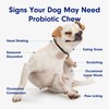 PetLab Co. Probiotic Support Chews – Daily Probiotic Supplements For