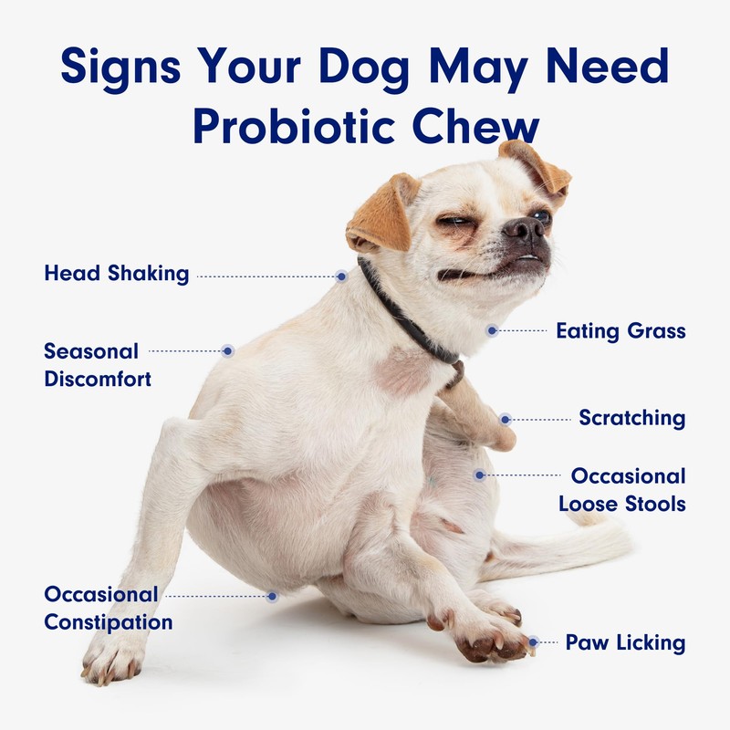 PetLab Co. Probiotic Support Chews – Daily Probiotic Supplements For