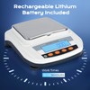 Bonvoisin Lab Scale Rechargeable Electronic Balance 3000gX0.01g Precision Analytical Balance