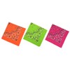 HankieWorld Bandanas 3 pack 22 inch Cotton Paisley Kerchiefs for