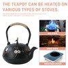 Cast Iron Teapot SECHUDO Teapot for Stovetop Safe Coated with