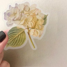 50 Pcs Green Plants Stickers for Teens Girls Boys Child Adults,Transparent Stickers for Laptop,Water Bottles,Bicycle,Skateboard,Computer,Waterproof Vinyl for Wall,Graffiti Stickers Pack