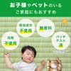 LEC Balsan Super Drop Tatami Dust Mite Prevention Wet Sheet