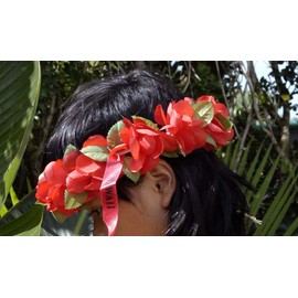 Rainview Creations Hawaii Floral Headband-haku Lei Elastic Hawaiian Haku Leis Headdress Color Red