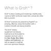 Groh Restorative Shampoo, 8oz.