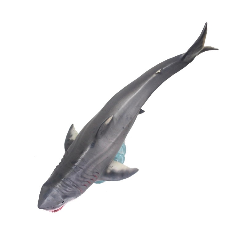 HAOLONGGOOD Otodus Megalodon