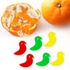 And C 6 Pieces Orange Citrus Shell Thin Peel Bird