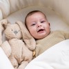 Nattou Lapidou Cuddly Toy Rabbit Beige