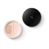 KIKO Milano Unlimited Long Lasting Matte Loose Powder 01 |