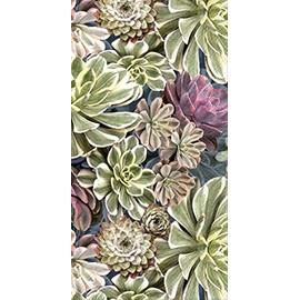 IHR Ideal Home Range - Paper Napkins SUKKULENT 16-Count 3-Ply Guest Towel 8.5 x 4.5 inches