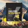 VivoNu Himalayan Shilajit Gummies with Ashwagandha & Gokshura | 85+