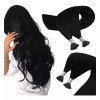 sunny hair Extensiones De Cabello Negro Azabache 22in 50gr
