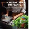 YFDB Bird Shaped Plant Watering Globes(Bule 4ps) Plants Suitable for