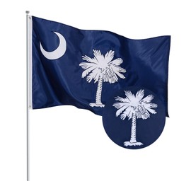 Pessbulmm South Carolina State Flag 3x5 Ft Heavy Duty Outdoor Flag with Embroidered Palmetto Tree, Crescent Moon & Stars, Reinforced 4-Row Stitching, Brass Grommets for All Weather Use