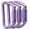 FresKaro 3inch Auto Locking Carabiner Clips, Solid D Shape Style,