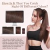 SEGOHAIR Wrap Around Ponytail Human Hair Clip in Ponytail Hair