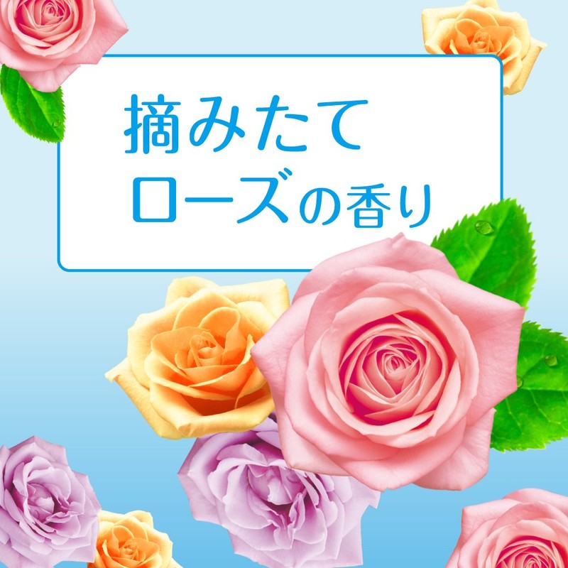 Biore Smooth Powder Sheets, Rose Scent, Refill, Pack of 36