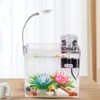Aquarium Starter Kits - Arcrylic Fish Tank with 3W Light